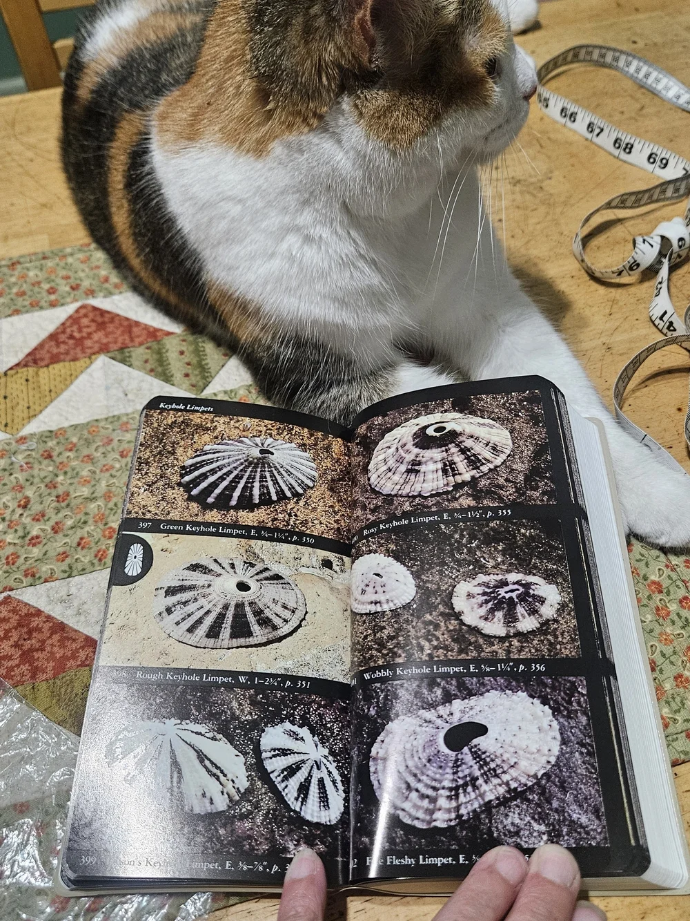 N/A field guide